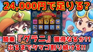 【キノコ伝説】24,000円でコラボ騎乗『グラニ』獲得なるか？！