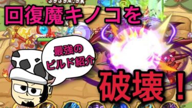 【必見！】”回復魔キノコ”を破壊するビルド紹介！