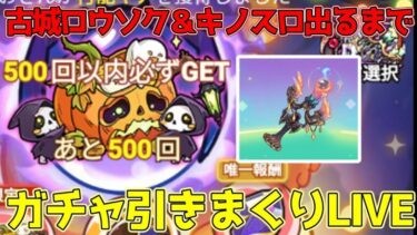 【キノコ伝説】神器『古城ロウソク』＆キノスロ当たり出るまでガチャ引きまくりLIVE！コメントほぼ読みます！