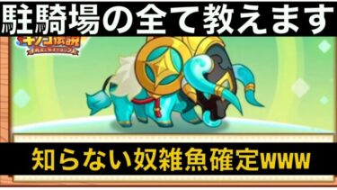 【キノコ伝説】知らないと絶対損する！？駐騎場の全て教えます【絶対に助ける】