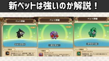 【キノコ伝説】カブタックコラボのペットは強いのか徹底解説します！