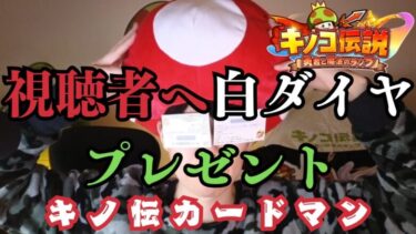 【キノコ伝説】白ダイヤ視聴者プレゼント！　オフ会終えて【武道会優勝経験者】