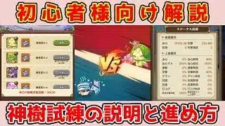 【キノコ伝説】初心者様向け動画『神樹試練』についてとその感想回