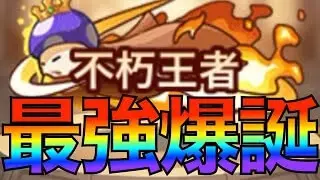 【キノコ伝説】最強の証、不朽王者になった俺の最強ビルド【絶対に助ける】